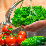 Norovirus in Canadian Kitchens: Stop It with HOCl Spray - CleanSmart Canada